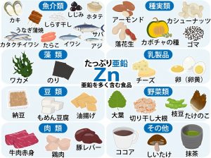 亜鉛を含む食品