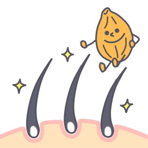 科学的研究に基づくノコギリヤシの育毛効果
