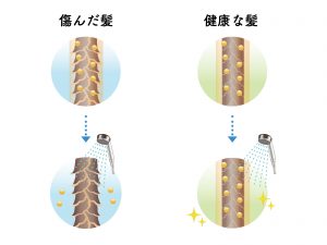頭皮のマッサージは、ハリ・コシを復活させるのに効果がありますか?