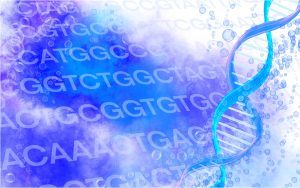 父の薄毛は遺伝する?