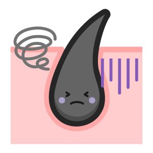 春と秋の抜け毛に共通する外的要因