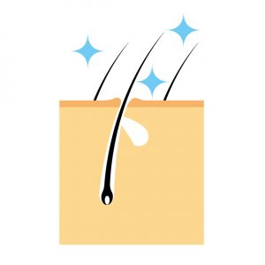 脱水と頭皮の健康