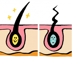 枕を使わない睡眠と頭皮の健康